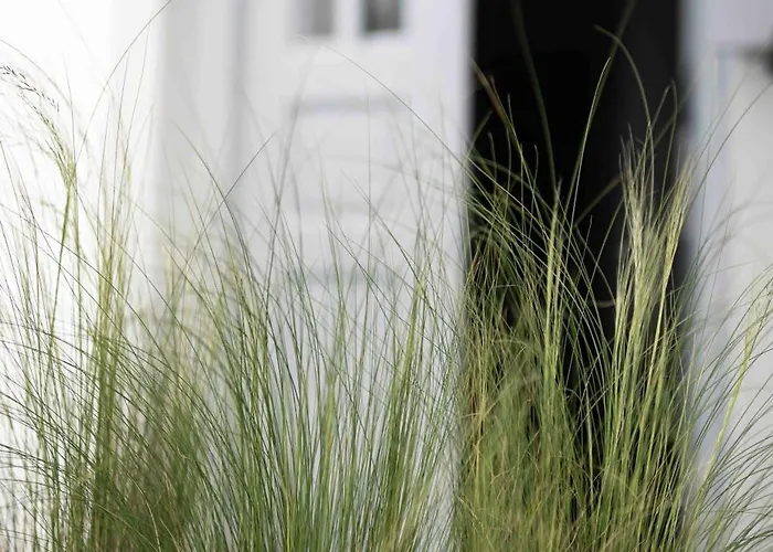 La Roka, Cliffside Memories Panzió